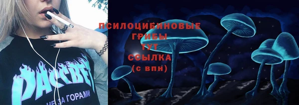 спайс Алексин