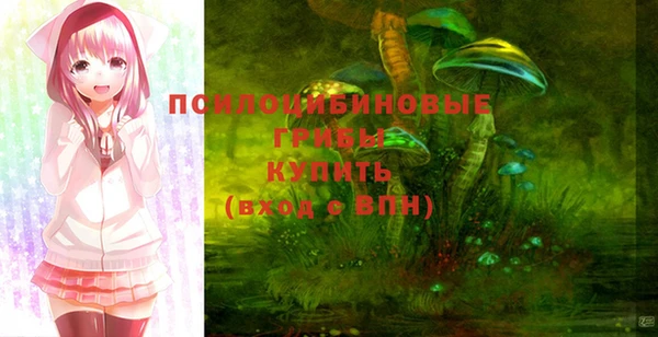 МДПВ Алзамай