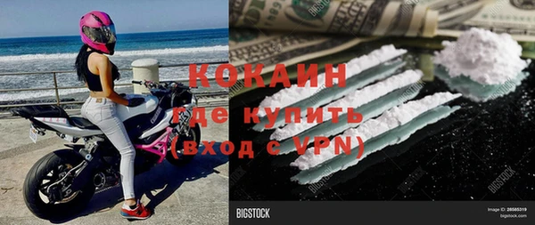 МДПВ Алзамай